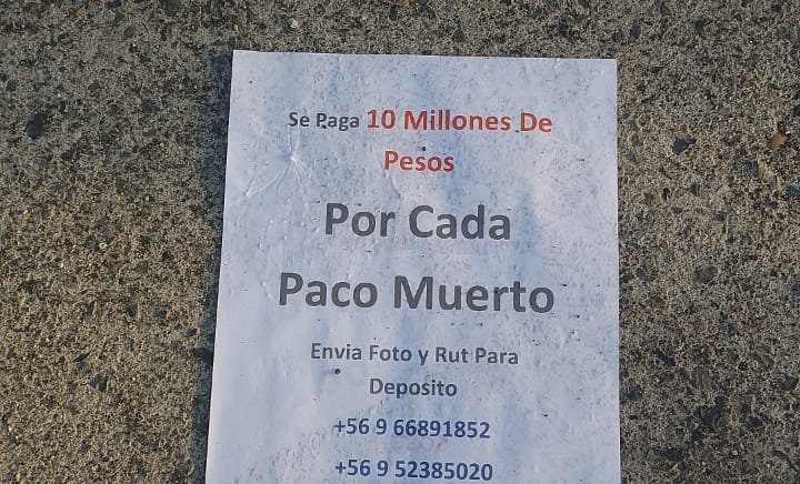 "$10 millones por cada paco muerto": Hallan en Coronel panfletos donde se ofrece dinero por asesinar Carabineros