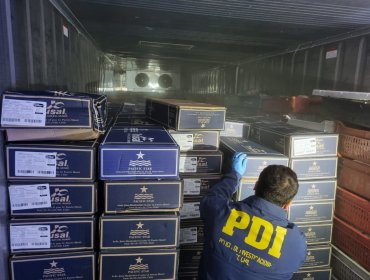 "Operación Santo Salmón": PDI recupera carga de salmón robado avaluada en $600 millones que sería comercializada en Semana Santa