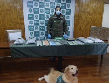 Incautan cargamento de marihuana que había sido enviado desde Rancagua a Punta Arenas