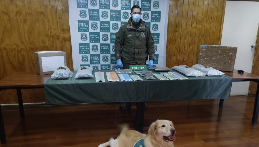 Incautan cargamento de marihuana que había sido enviado desde Rancagua a Punta Arenas