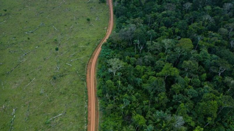 Nuevo análisis revela que Brasil y Colombia han reducido drásticamente sus niveles de deforestación