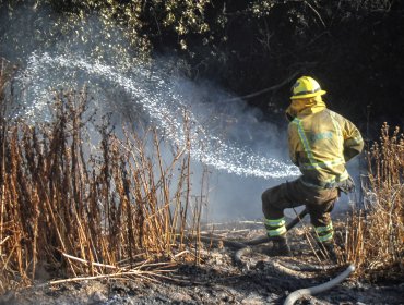 Conaf confirma que modificará proyecto para comprar carro anti-incendios en Reserva Peñuelas de Valparaíso tras fracasada licitación