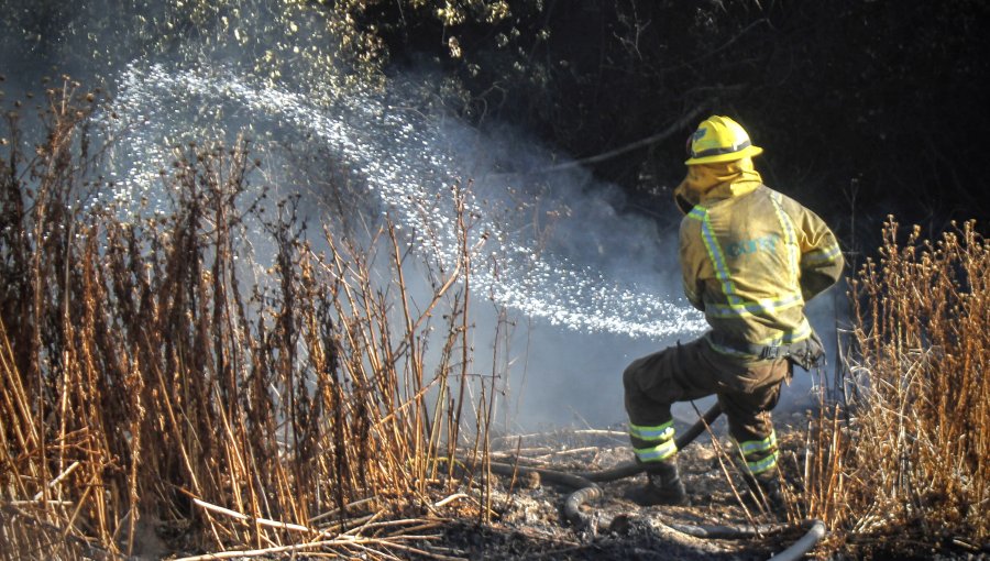 Conaf confirma que modificará proyecto para comprar carro anti-incendios en Reserva Peñuelas de Valparaíso tras fracasada licitación