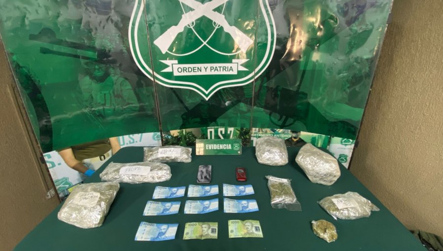 Decomisan paquetes de marihuana rotulados con el nombre del destinatario durante fiscalización a un bus en Nogales