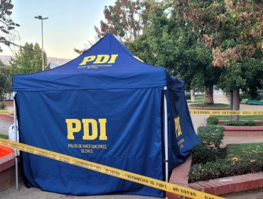 Homicidio en Viña del Mar: En plena plaza Santa Inés muere hombre apuñalado por su acompañante