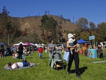 Jardín Botánico de Viña del Mar inició "reapertura gradual" tras megaincendios