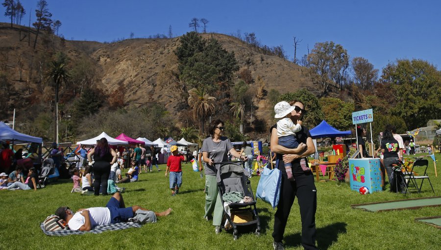 Jardín Botánico de Viña del Mar inició "reapertura gradual" tras megaincendios