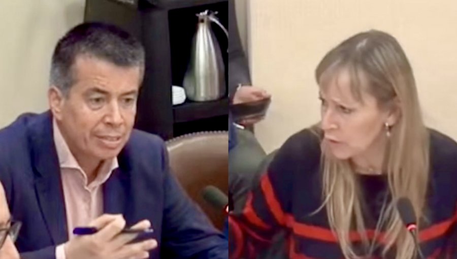 "¡Por favor, córtela!": Tenso round entre los diputados Andrés Celis y Ana María Gazmuri en plena sesión de la Comisión de Salud