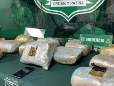 Detectan cerca de 12 kilos de drogas en control a un bus interprovincial en la ruta 5 Norte