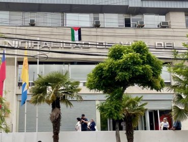 Contraloría ordena retirar bandera palestina instalada en el frontis del Municipio de Viña