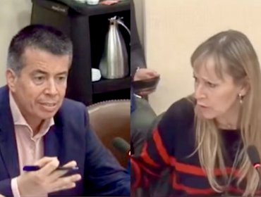 "¡Por favor, córtela!": Tenso round entre los diputados Andrés Celis y Ana María Gazmuri en plena sesión de la Comisión de Salud