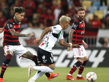 Palestino pierde con Flamengo y complica sus opciones de avanzar en Copa Libertadores