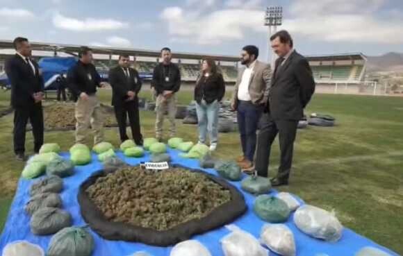 Incautan 1.6 toneladas de marihuana en Ovalle: Valor alcanza $8 mil millones