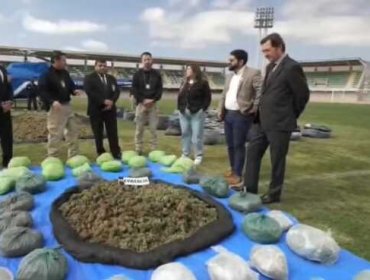 Incautan 1.6 toneladas de marihuana en Ovalle: Valor alcanza $8 mil millones