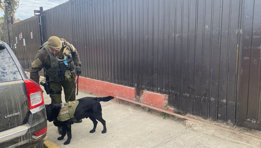 Descartan presencia de bomba en colegio Aconcagua de Quilpué: amenaza afirmaba que detonaría a las 12:00 en el segundo piso