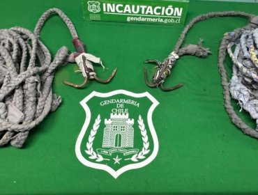 Gendarmes logran frustrar intento de fuga desde el Centro de Detención Preventiva de Quillota