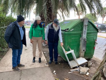 Basura, plaga de ratones y deplorable estado de veredas y áreas verdes: viñamarinos denuncian abandono municipal en la Av. San Martín