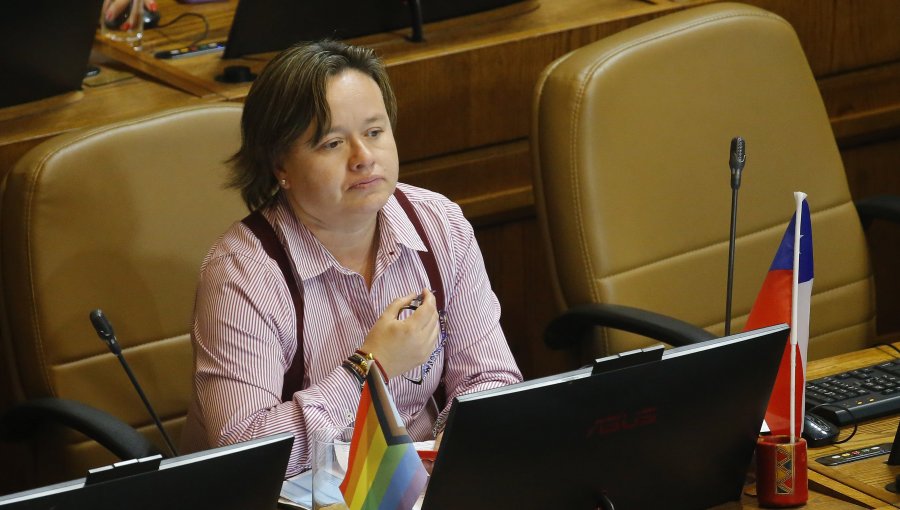 Diputada Riquelme sufre desmayo durante intervención en la Sala de la Cámara: sesión fue suspendida