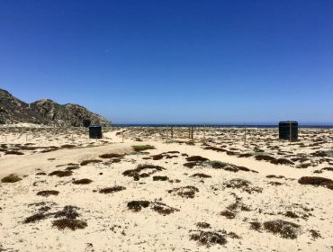 Proyecto en Tunquén: Criticada construcción de 80 parcelas en Algarrobo deberá ingresar al Sistema de Evaluación de Impacto Ambiental