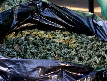Conductor es detenido al ser sorprendido transportando más de 4 kilos de marihuana en Ñuñoa
