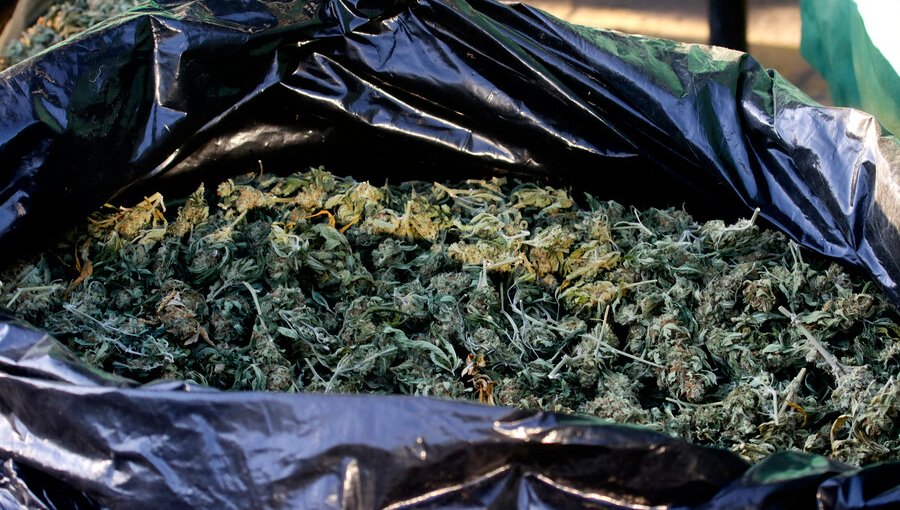 Conductor es detenido al ser sorprendido transportando más de 4 kilos de marihuana en Ñuñoa