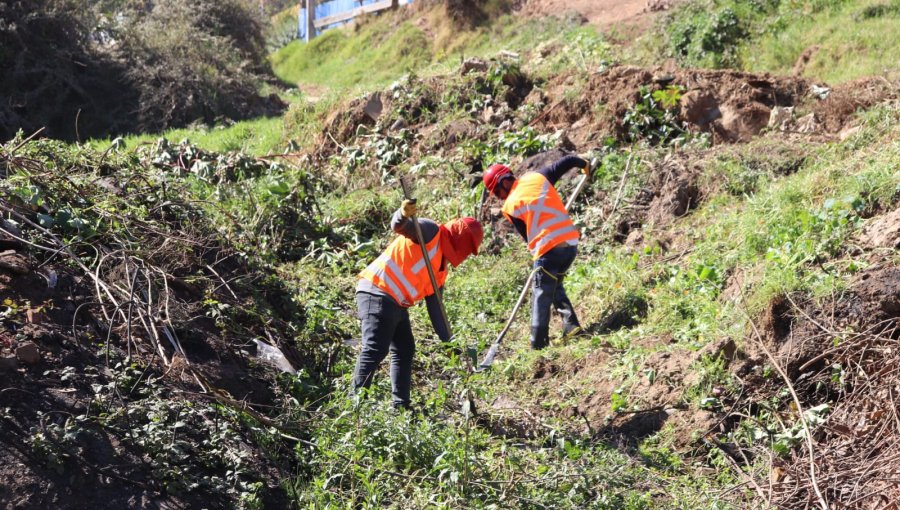 MOP comenzó trabajos en quebradas y cuencas afectadas por megaincendio en Viña del Mar