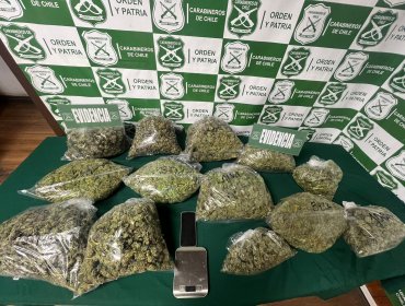 Descubren container con cerca de 14 kilos de marihuana en Algarrobo