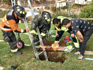 Macabro accidente en Viña: Hombre sufrió caída en cementerio y estuvo 40 minutos junto a una tumba a 4 metros de profundidad