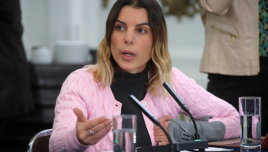 Diputada Orsini justifica su negativa al total despacho de Reglas de Uso de la Fuerza: “No puede salir mal”