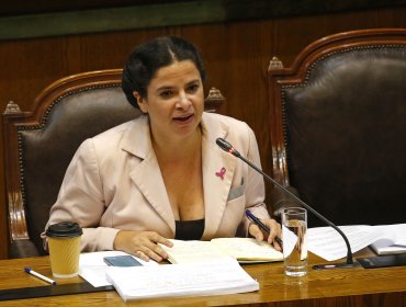 Ministra de la Mujer valora detención de excadetes de Cobreloa denunciados por violación grupal