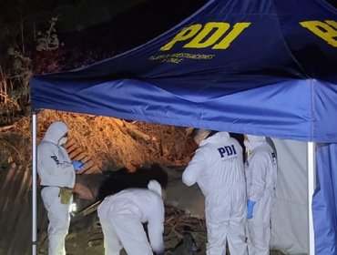 Macabro hallazgo en Cerro Merced de Valparaíso: Peatón encontró cabeza y cuerpo descuartizado