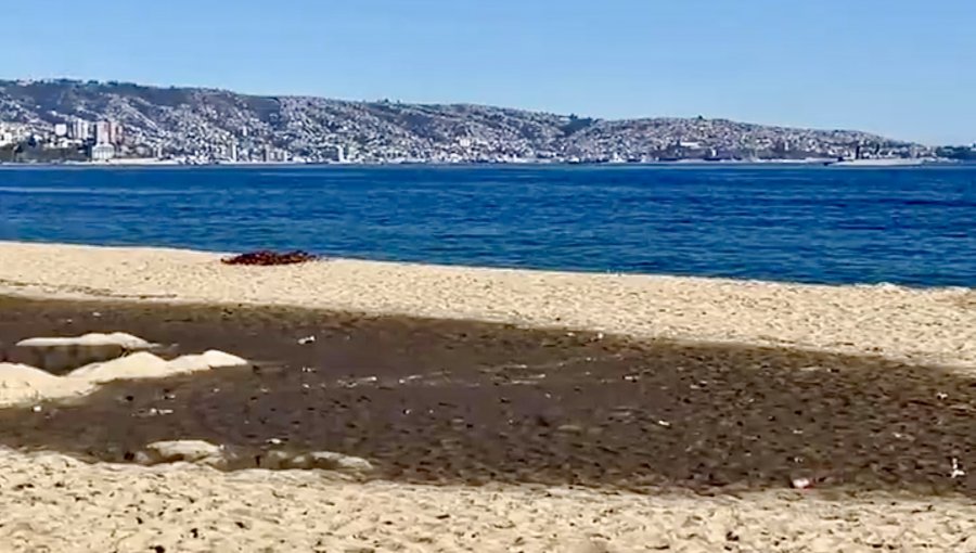 Diputados piden explicaciones a Medio Ambiente y la Armada tras posible nuevo caso de contaminación en playa de Viña del Mar