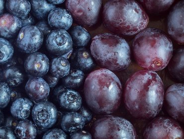 Envíos de fruta fresca, vinos y alimentos logran importantes crecimientos durante los primeros cuatro meses del 2024