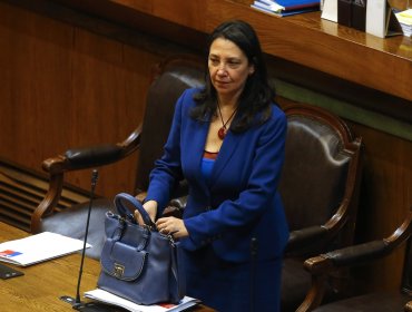 Subsecretaria Lobos solicita aprobar ley corta de isapres: "Permite darle viabilidad al sistema”