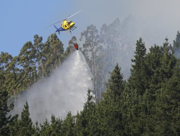 FNE pide a la Corte Suprema confirmar sanción por colusión en medio de combate de incendios forestales