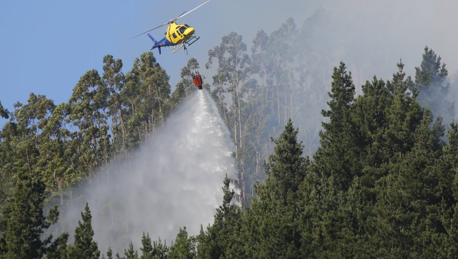 FNE pide a la Corte Suprema confirmar sanción por colusión en medio de combate de incendios forestales