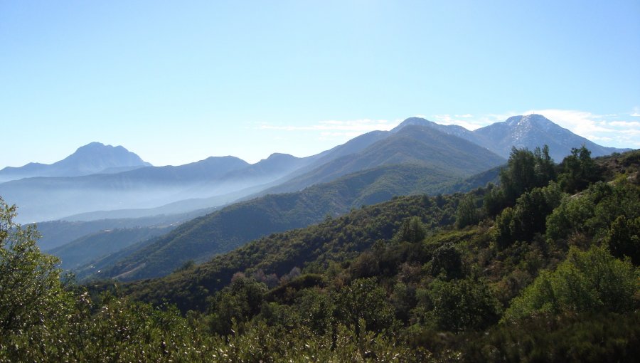 Aprueban reglamento para crear un nuevo plan de gestión de la Reserva de la Biósfera La Campana-Peñuelas