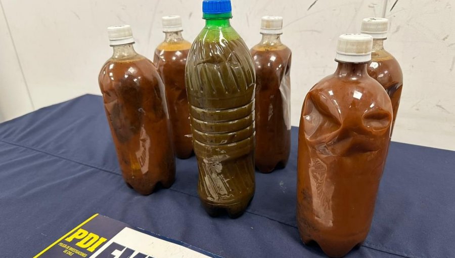 Detienen a hombre que intentó ingresar a Chile seis botellas con ayahuasca para rituales en la región Metropolitana