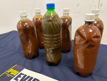 Detienen a hombre que intentó ingresar a Chile seis botellas con ayahuasca para rituales en la región Metropolitana