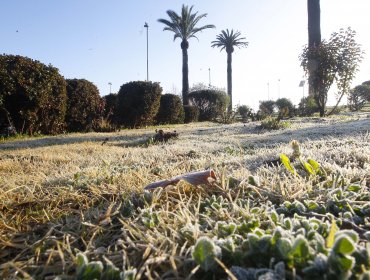 Fenómeno de La Niña llegaría a Chile durante la primavera y podría provocar heladas