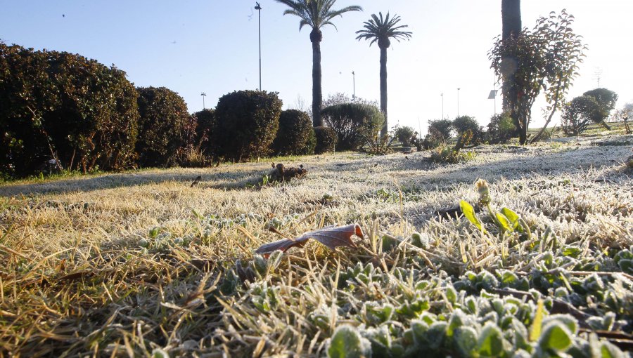 Fenómeno de La Niña llegaría a Chile durante la primavera y podría provocar heladas