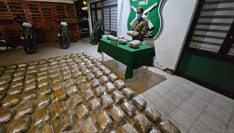 Carabineros decomisa 150 kilos de marihuana en Pozo Almonte