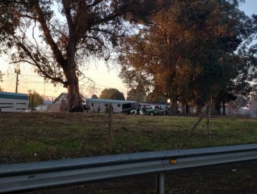 Durante su viaje inaugural, tren Santiago-Temuco descarrila en La Araucanía