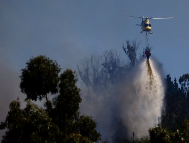 Corte de Apelaciones ordena indemnizar con $1.372 millones a víctimas de incendio forestal en Santo Domingo