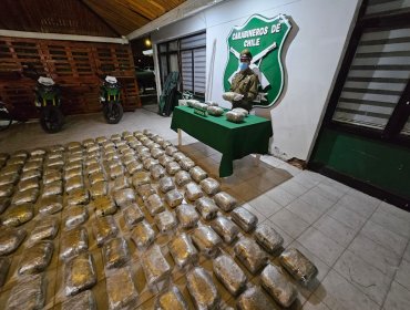 Carabineros decomisa 150 kilos de marihuana en Pozo Almonte