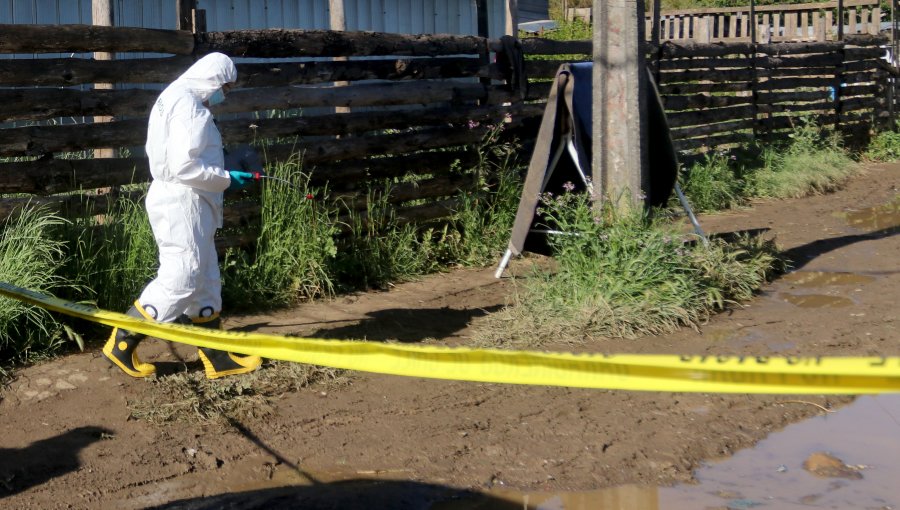 Tragedia en Alhué: Madre e hijo pierden la vida en incendio