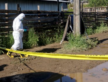 Tragedia en Alhué: Madre e hijo pierden la vida en incendio