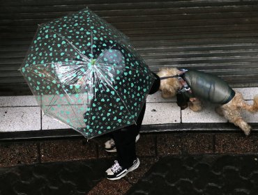 Llegó el segundo sistema frontal: Para el fin de semana se espera otro más débil