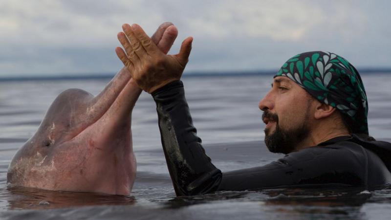 Omacha: La historia del "hombre delfín" colombiano nombrado Explorador del Año de National Geographic