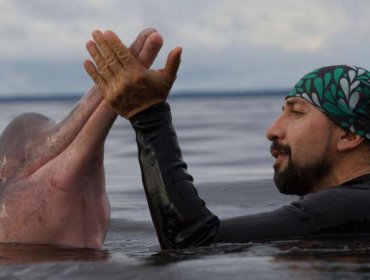 Omacha: La historia del "hombre delfín" colombiano nombrado Explorador del Año de National Geographic